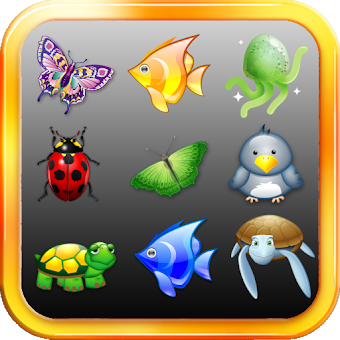 :name icon