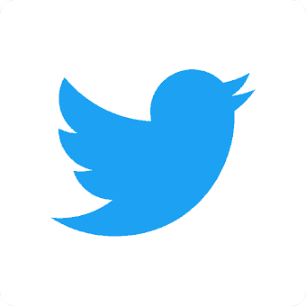 Twitter Lite icon